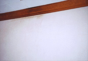 cleaning a restaurant wall and woodwork